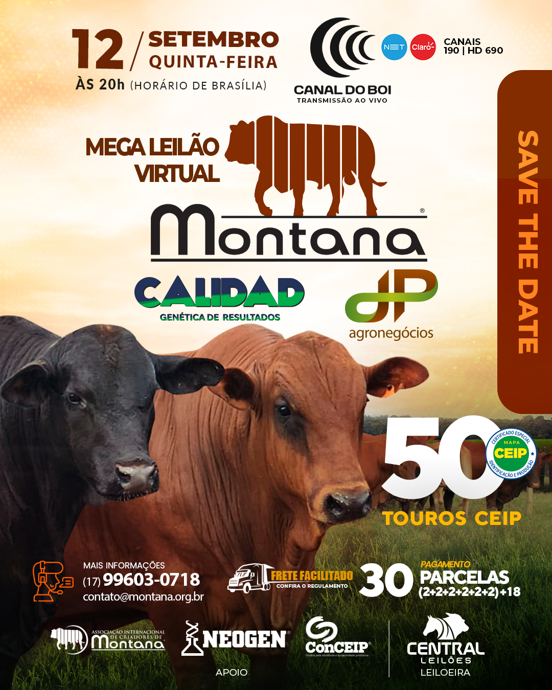 Mega Leilão Virtual Montana